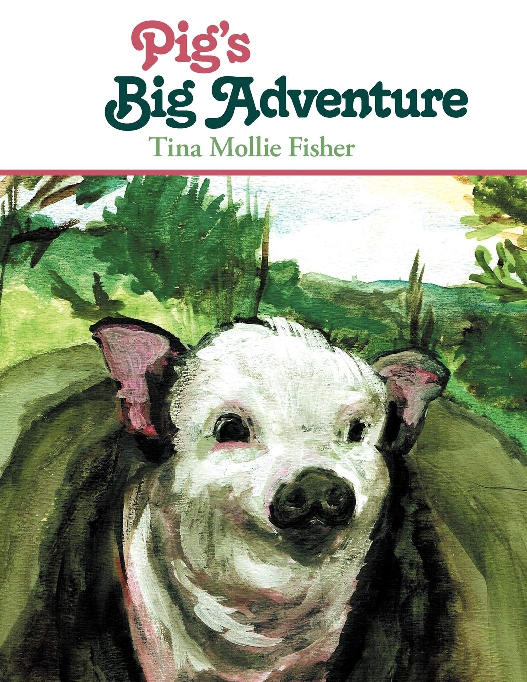 Pig'S Big Adventure,Used
