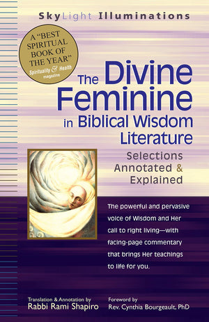 The Divine Feminine In Biblical Wisdom Literature: Selections Annotated & Explained (Skylight Illuminations),Used