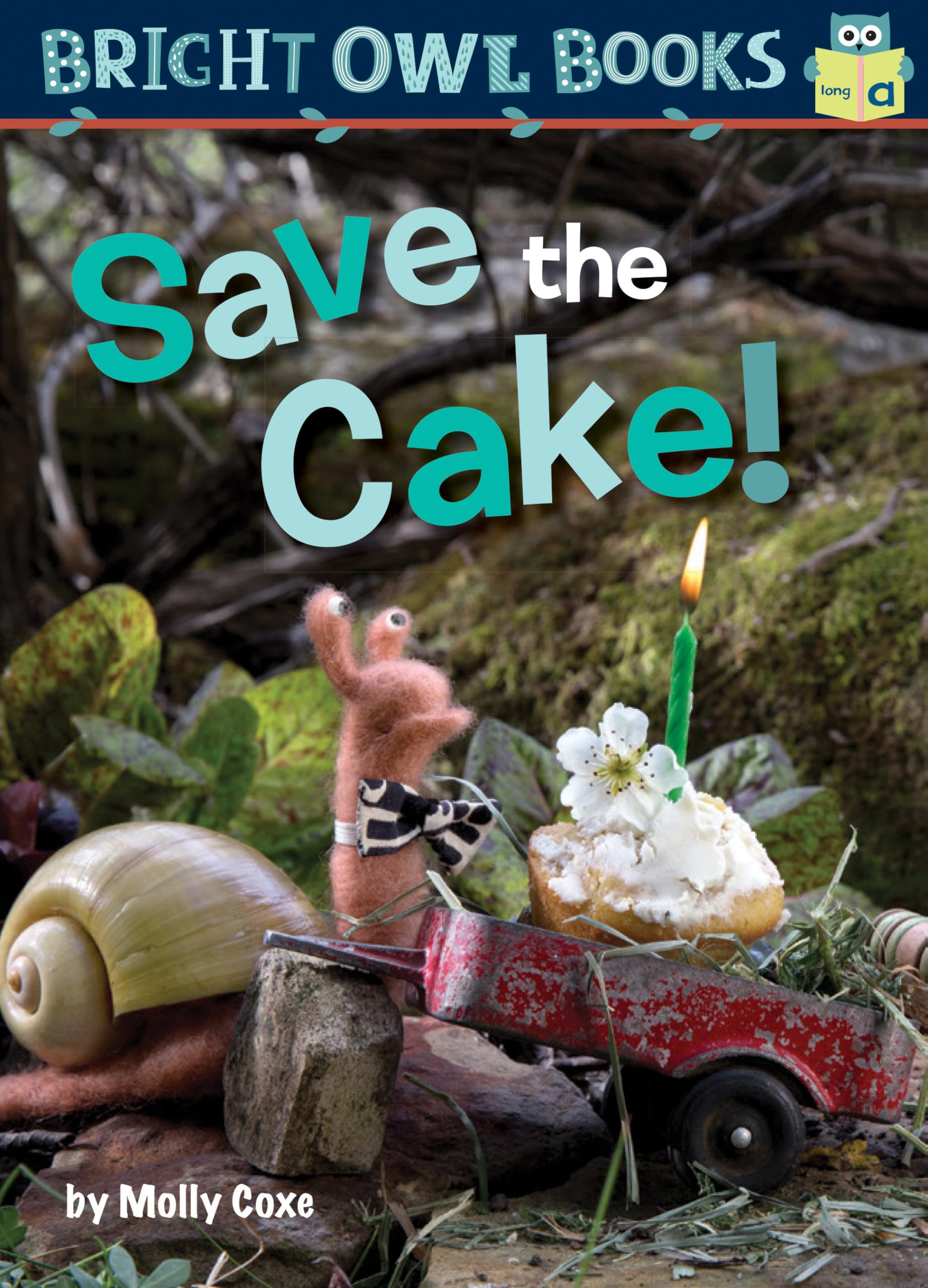 Save the Cake! (Bright Owl Books),Used