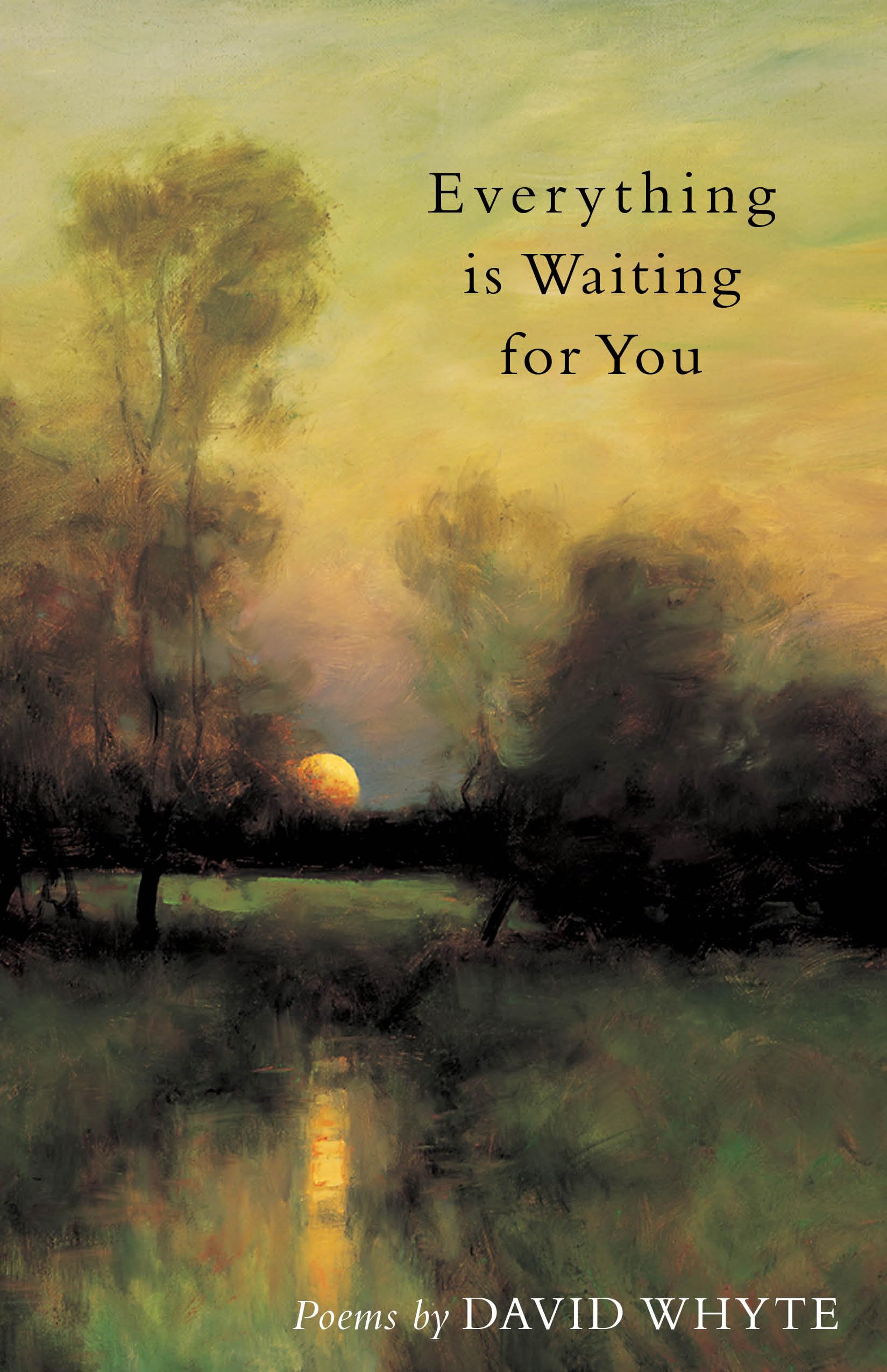 Everything Is Waiting for You,Used