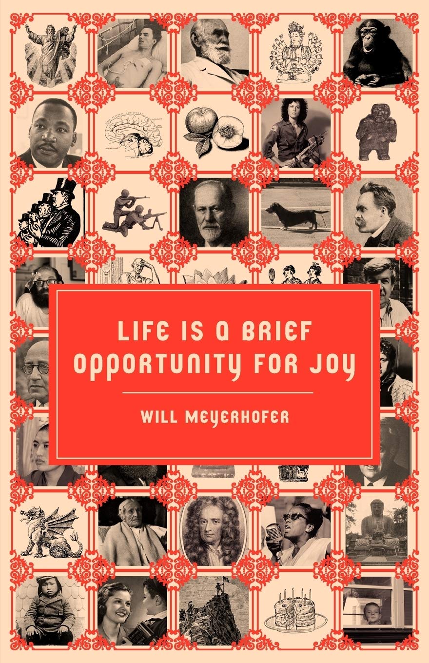 Life Is A Brief Opportunity For Joy
