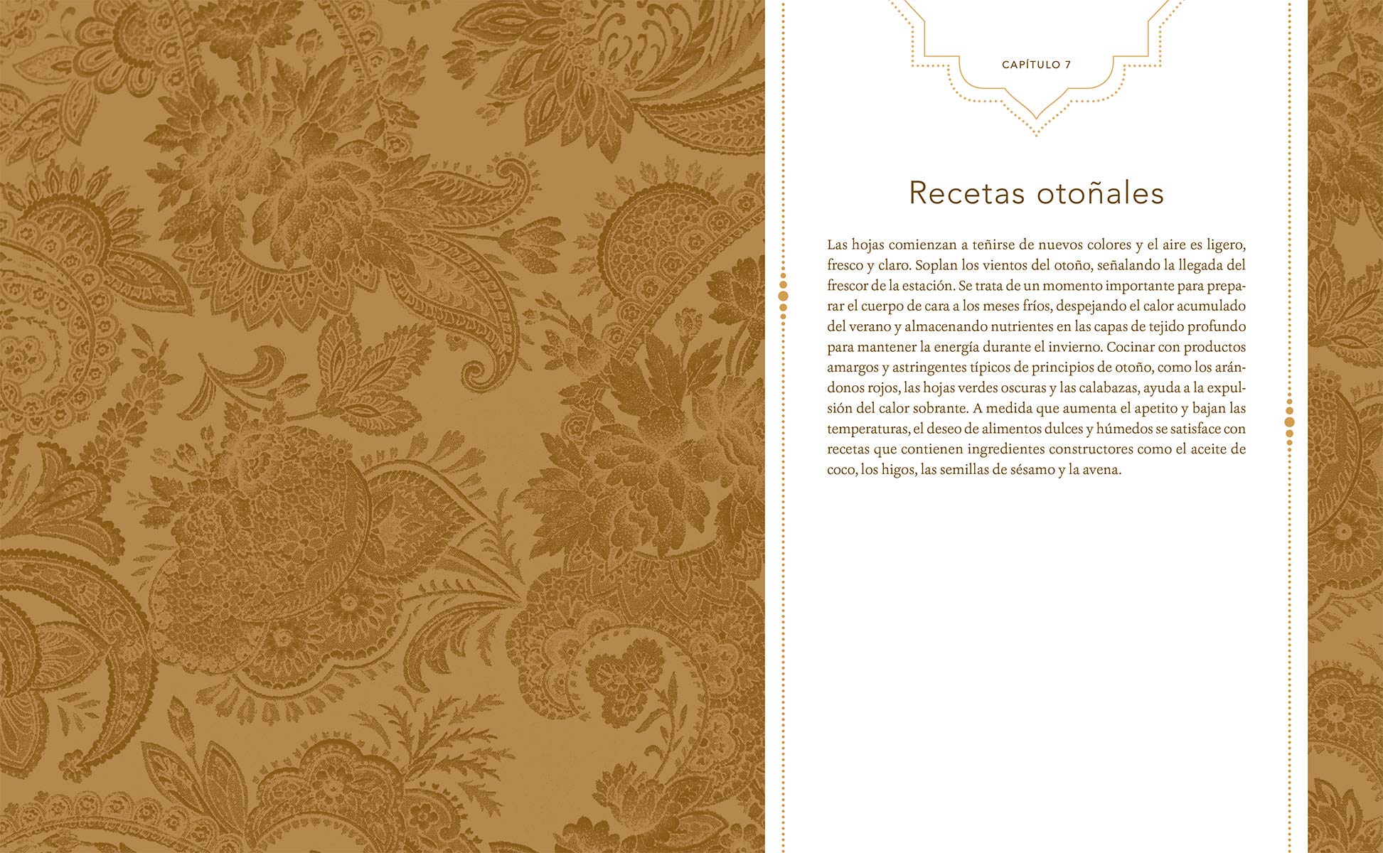 Cocina ayurveda para todos los das: 100 recetas sencillas y curativas segn las estaciones del ao,Used