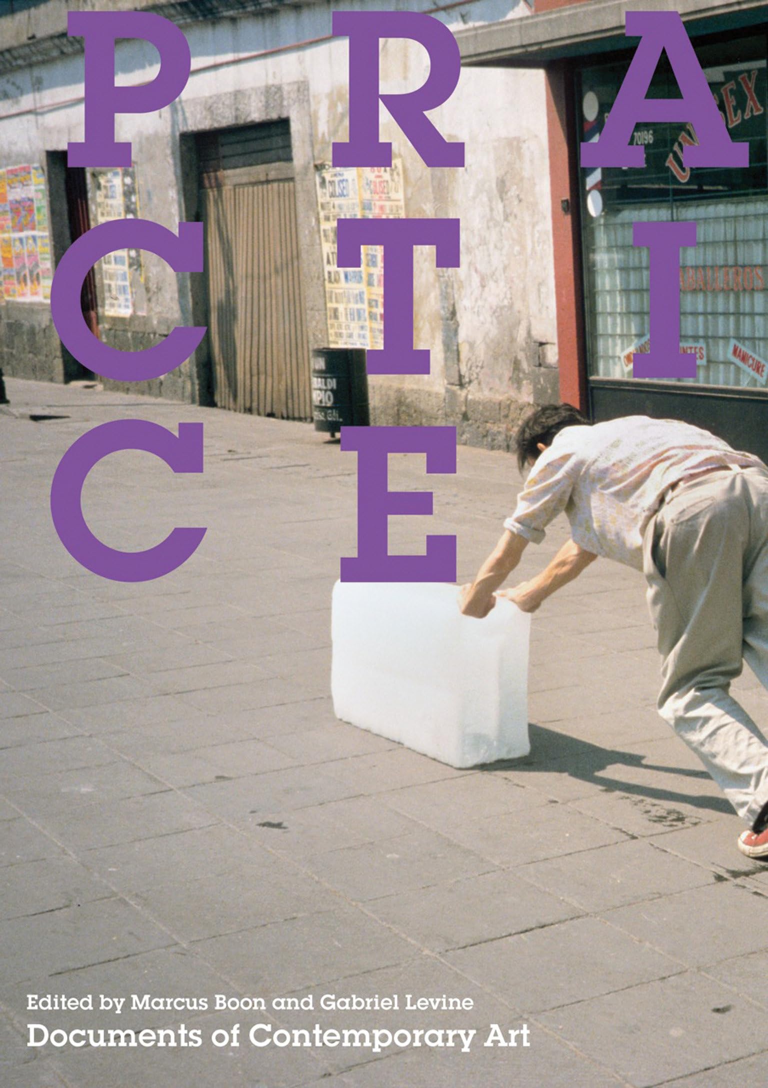 Practice (Whitechapel: Documents of Contemporary Art),Used