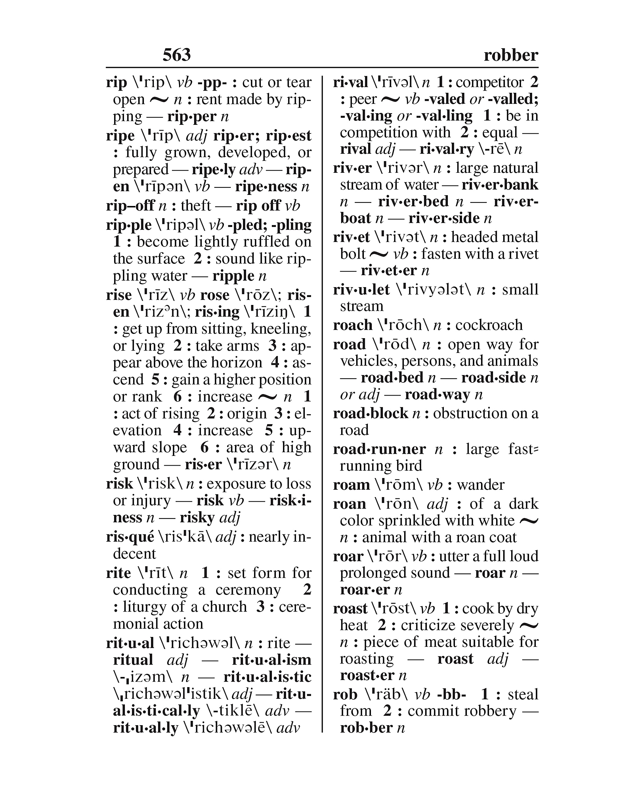 Webster's New Explorer Large Print Dictionary, Third Edition, Newest Edition,Used