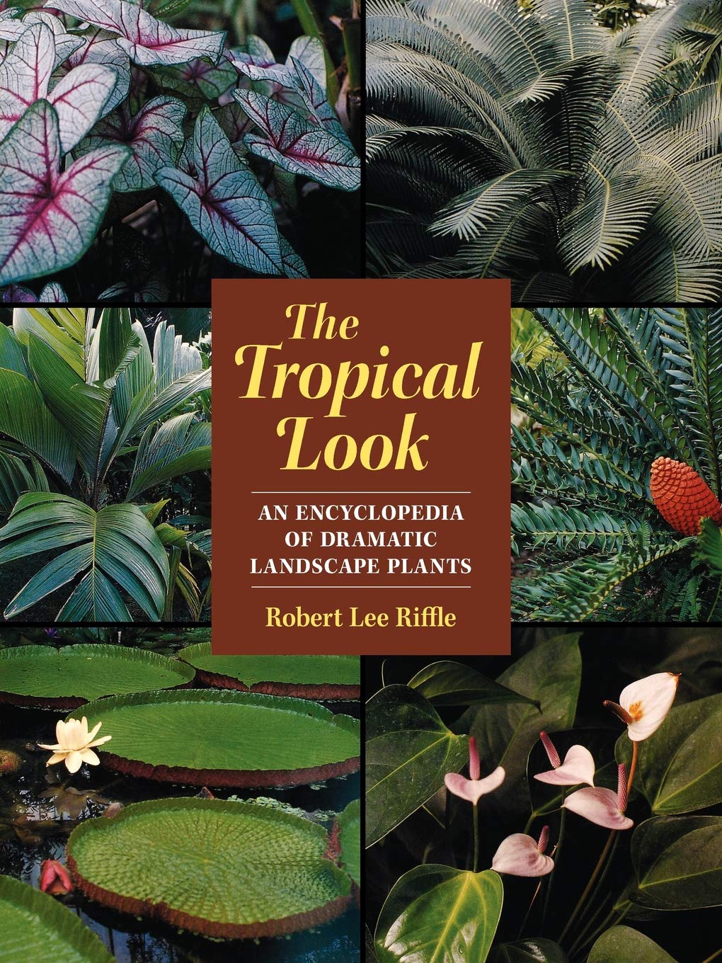 The Tropical Look: An Encyclopedia Of Dramatic Landscape Plants