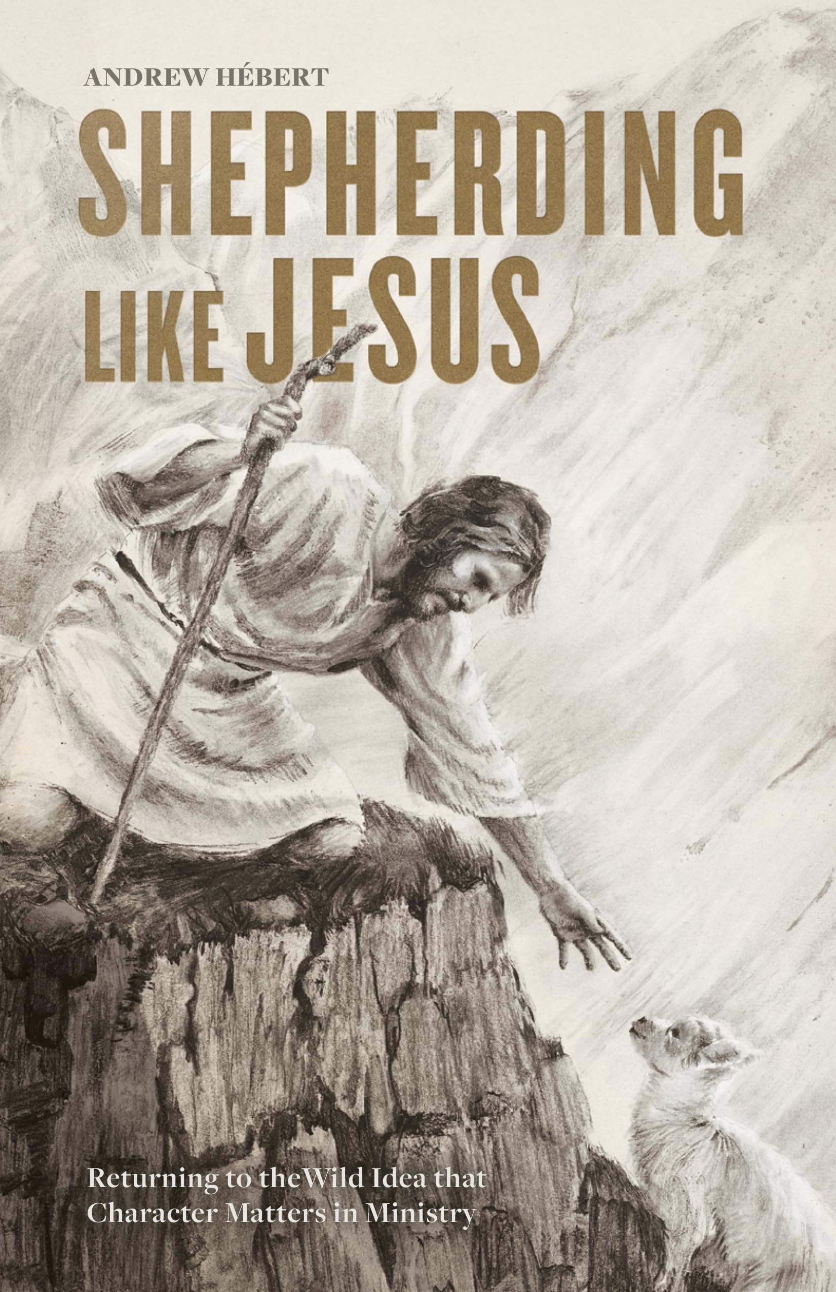 Shepherding Like Jesus: Returning to the Wild Idea that Character Matters in Ministry,Used