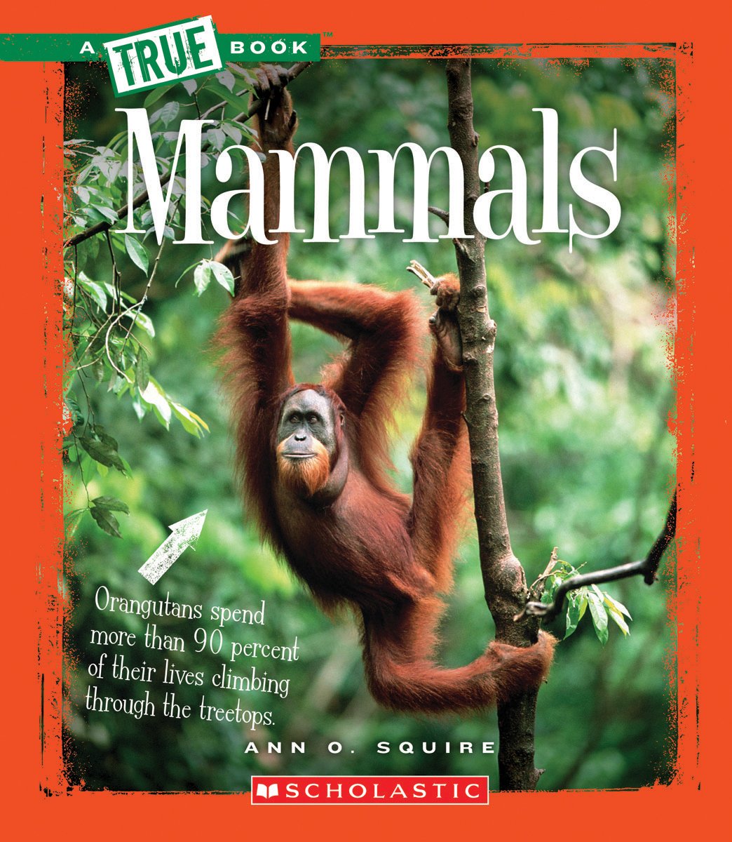 Mammals (True Books),Used