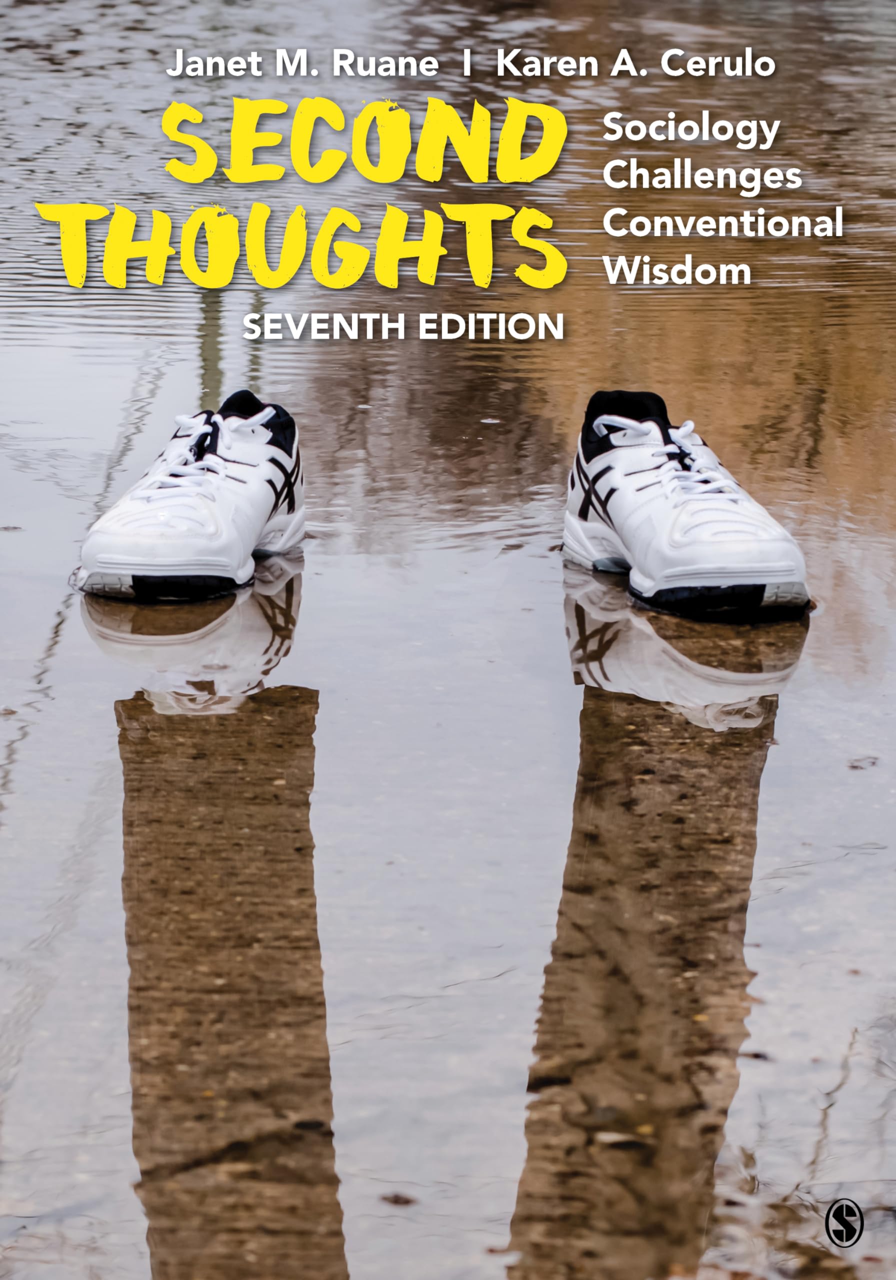 Second Thoughts: Sociology Challenges Conventional Wisdom,Used