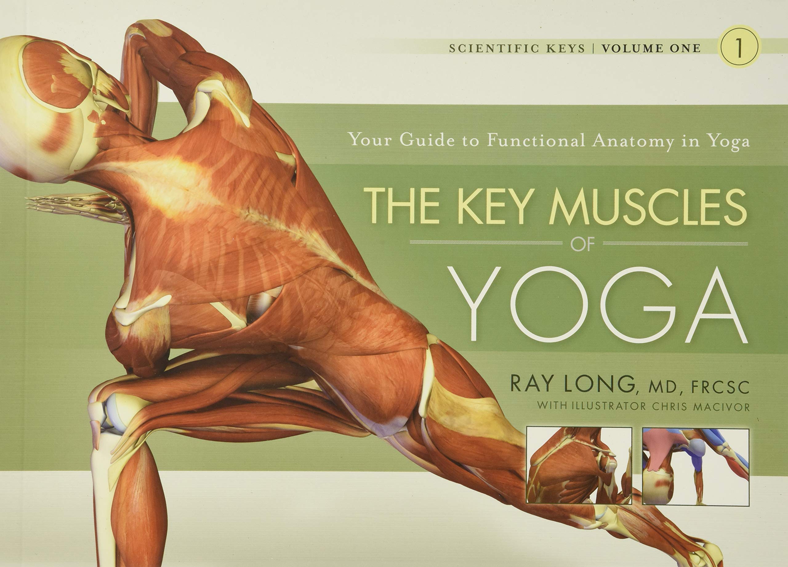 The Key Muscles of Yoga: Scientific Keys, Volume I,New
