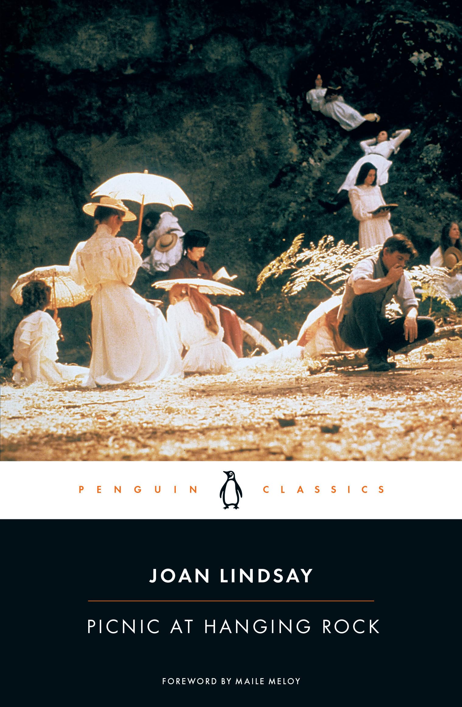 Picnic at Hanging Rock (Penguin Classics),Used
