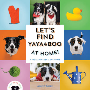 Let'S Find Yaya And Boo At Home!: A Hideandseek Adventure (Find Momo),New