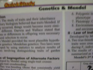 Biology (Quickstudy Reference Guides  Academic),Used