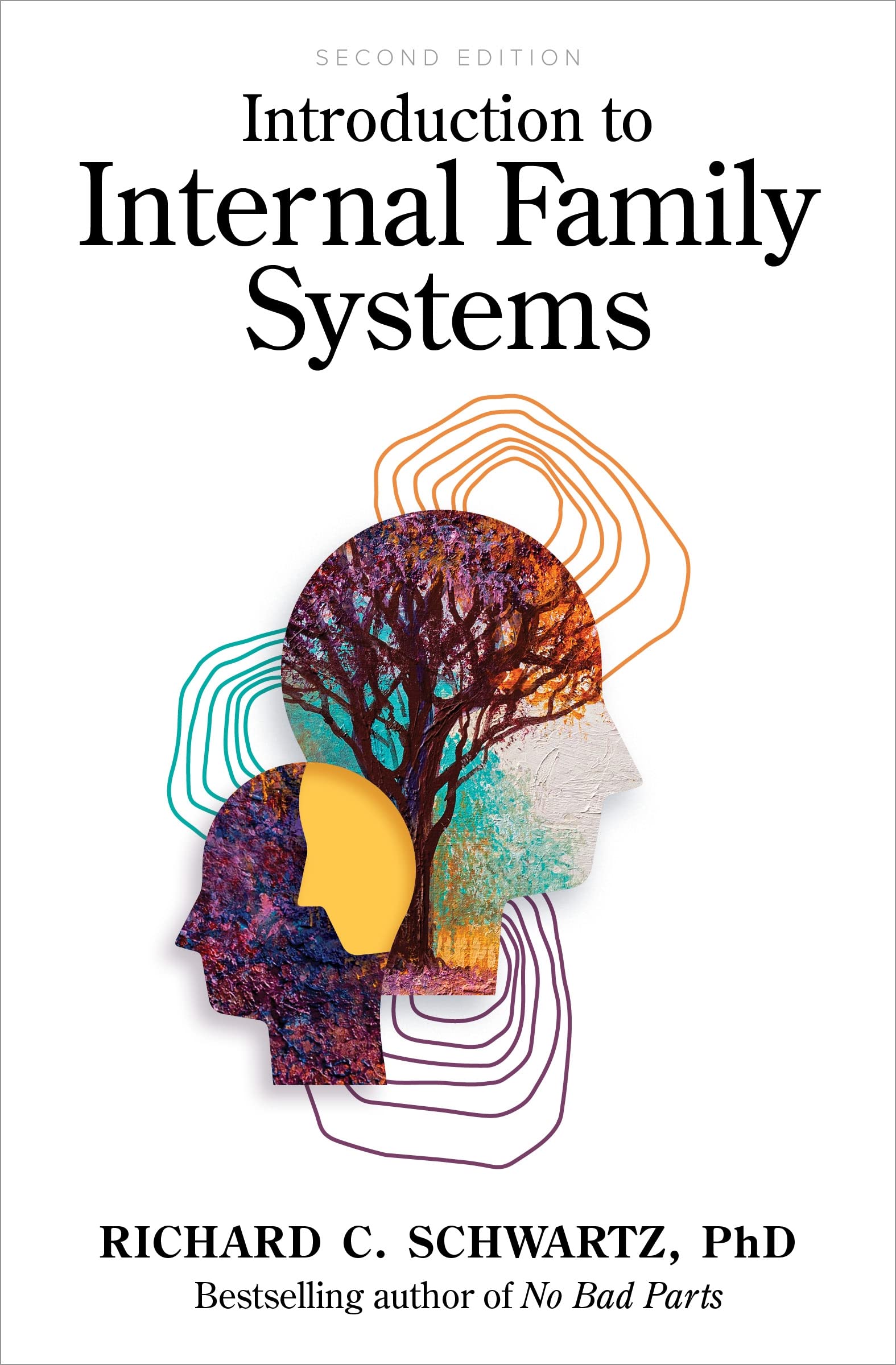 Introduction To Internal Family Systems,New