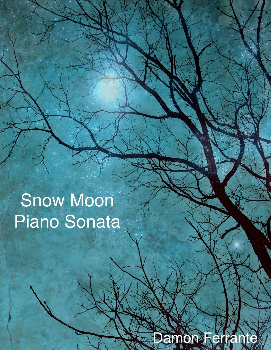 Snow Moon: A Piano Sonata,Used