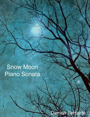 Snow Moon: A Piano Sonata,Used