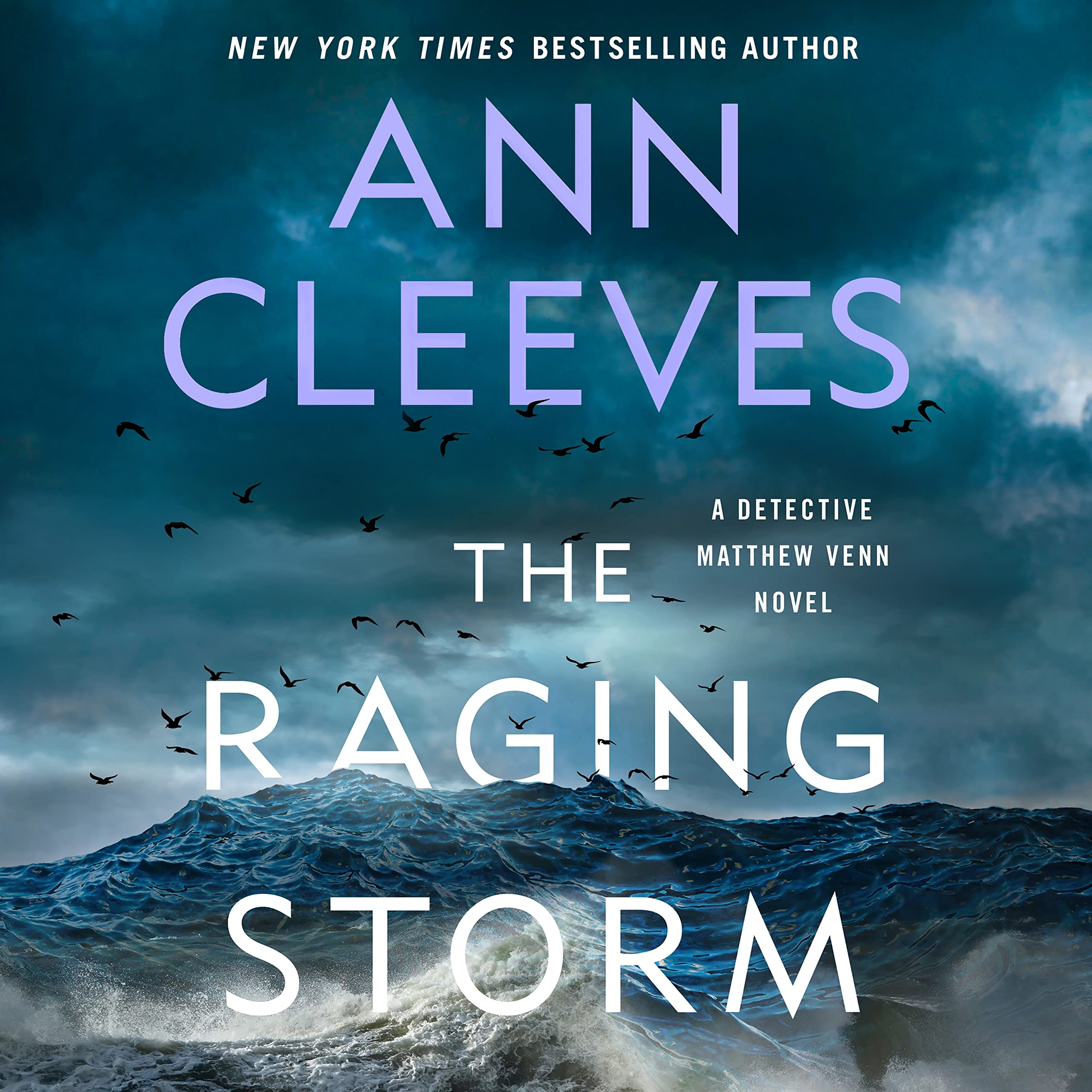 The Raging Storm: A Detective Matthew Venn Novel (Matthew Venn Series, 3)