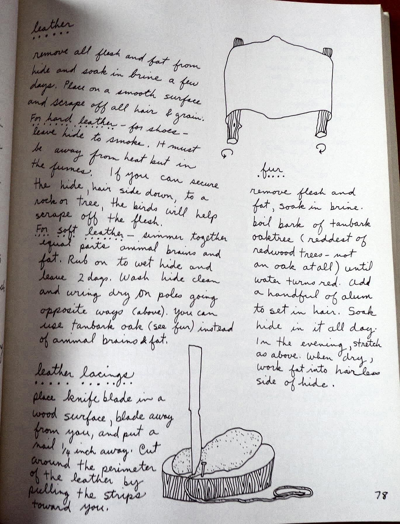 Living On The Earth: Celebrations, Storm Warnings, Formulas, Recipes, Rumors, And Country Dances Harvested By Alicia Bay Laurel.,Used