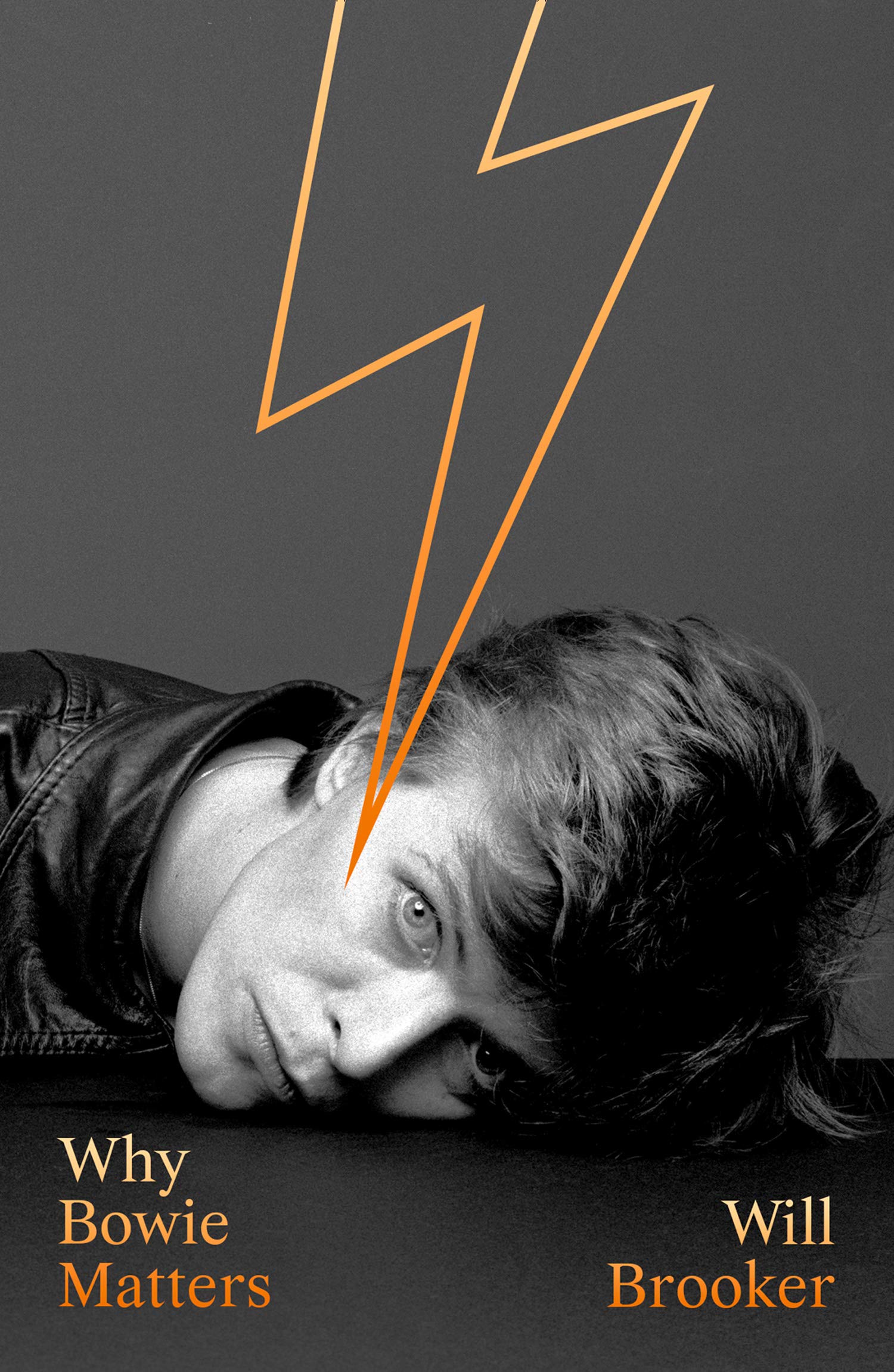 Why Bowie Matters,Used