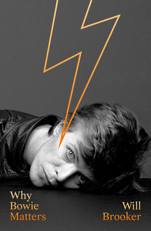 Why Bowie Matters,Used