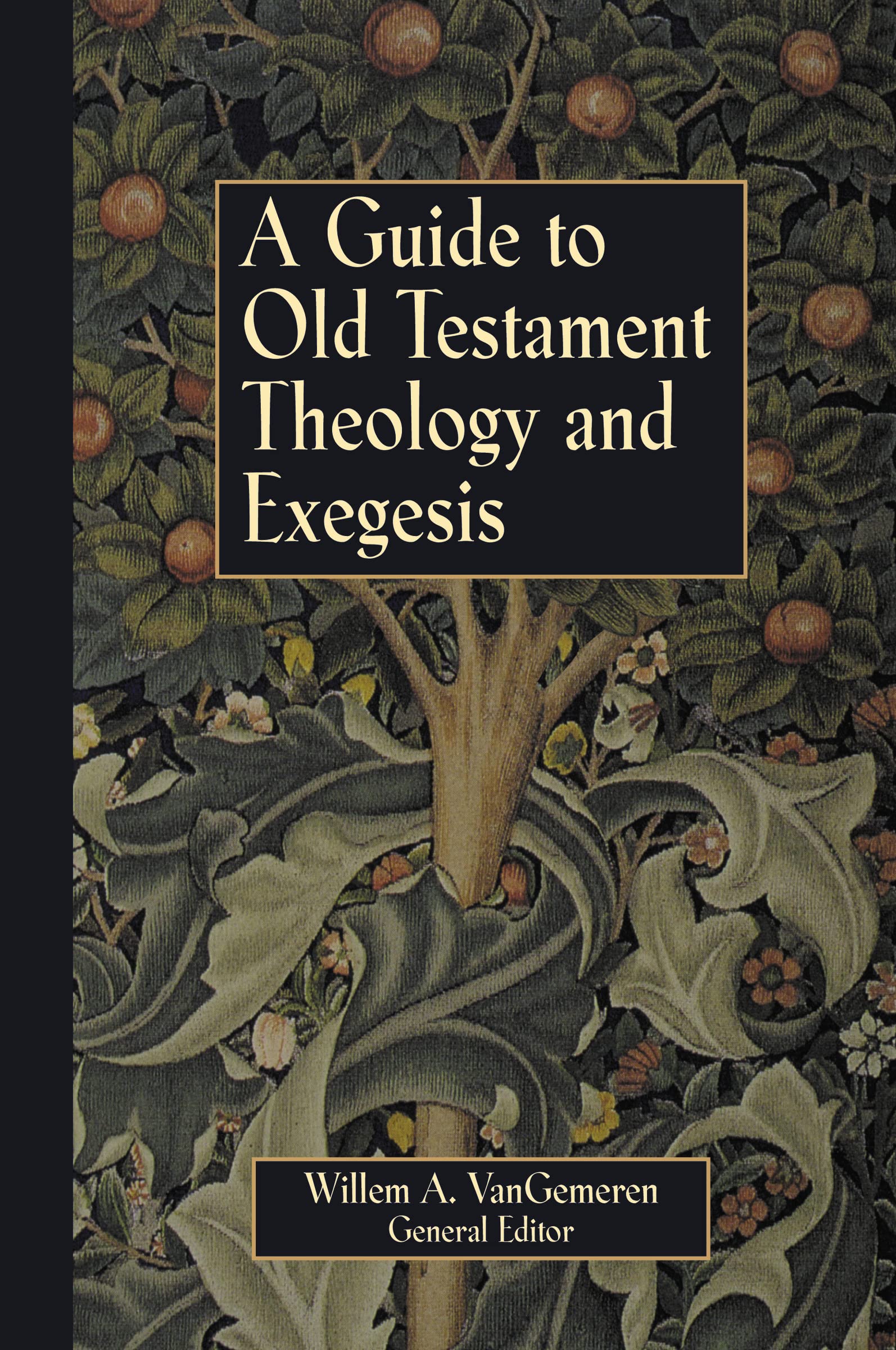 Guide to Old Testament Theology and Exegesis, A,Used