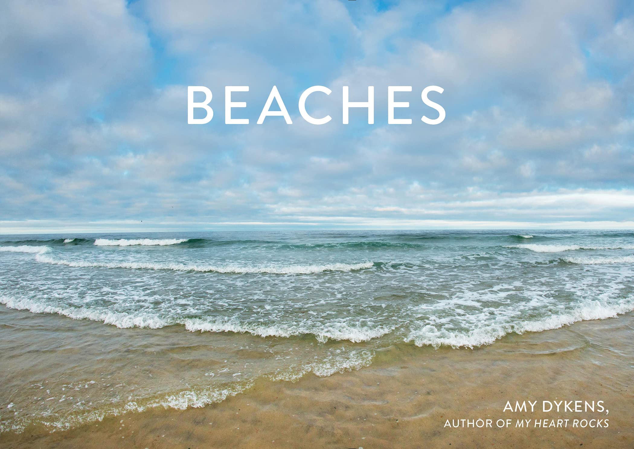 Beaches: Celebrating Stones, Sand, And Surf,Used