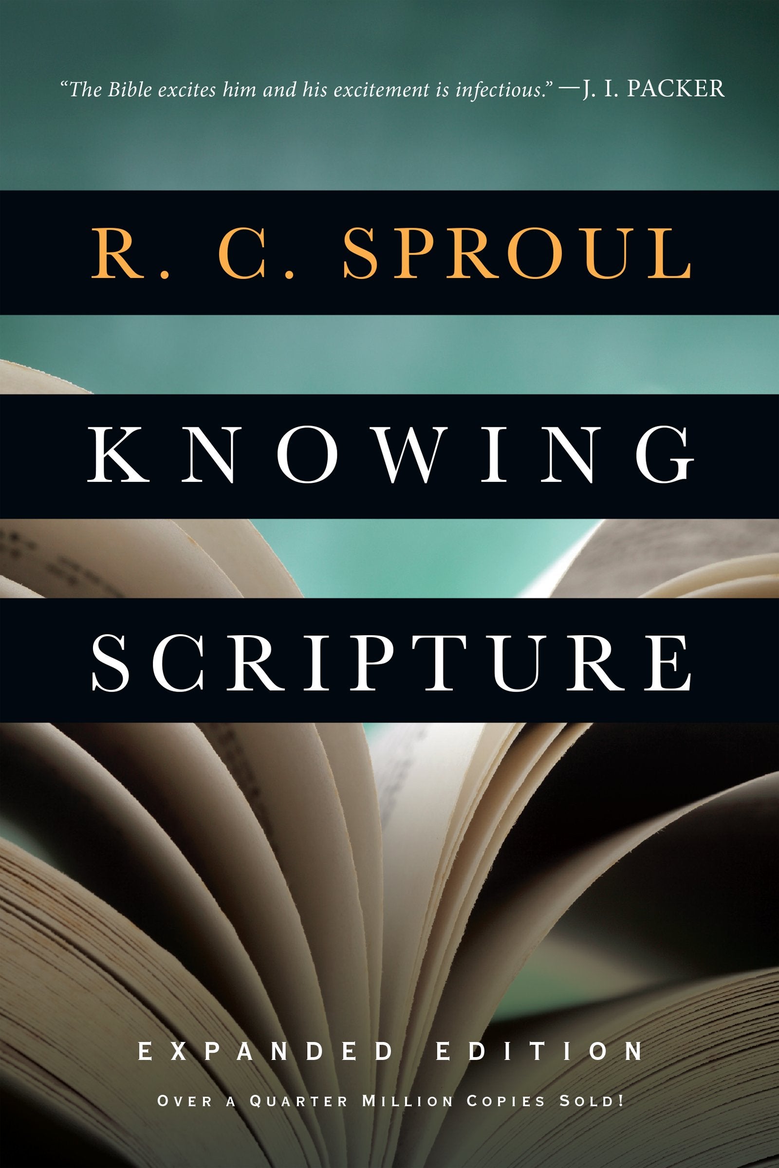 Knowing Scripture,Used