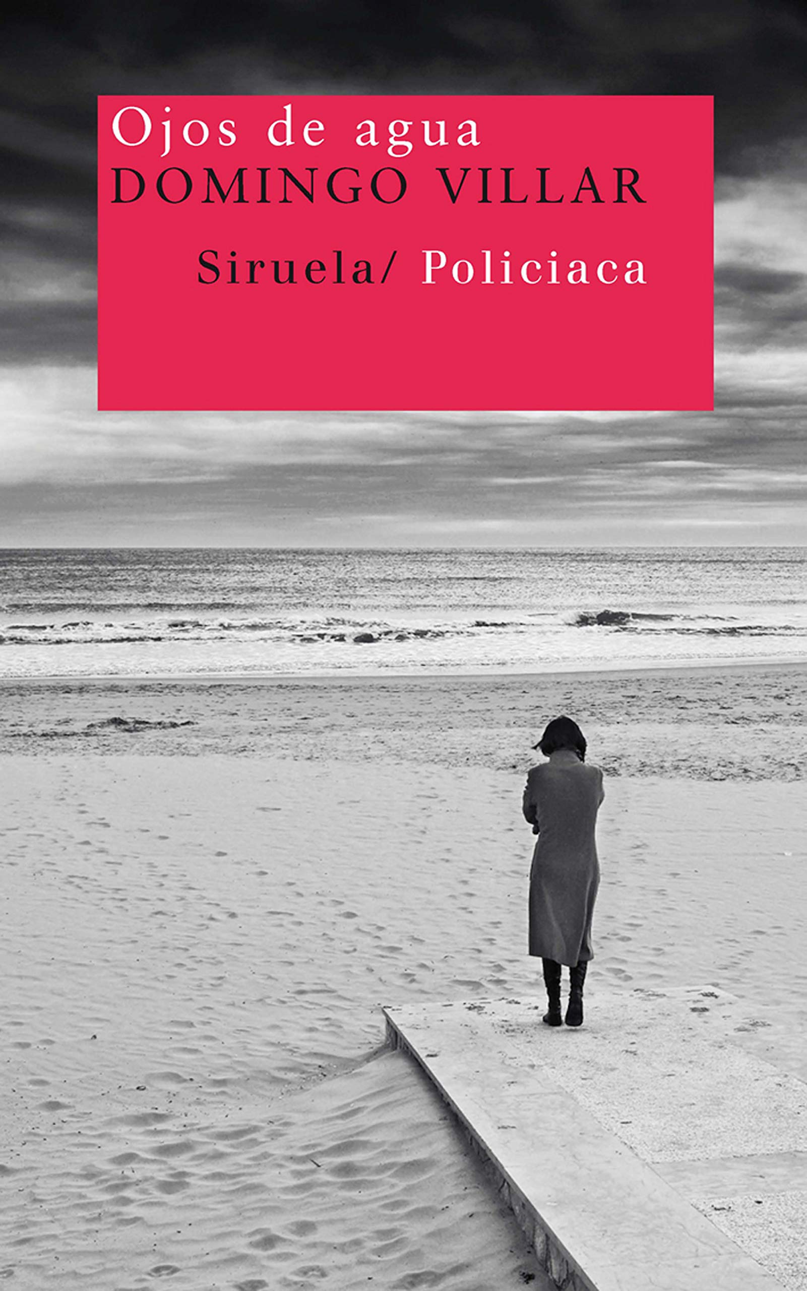 Ojos de agua (Nuevos Tiempos / New Times) (Spanish Edition),Used