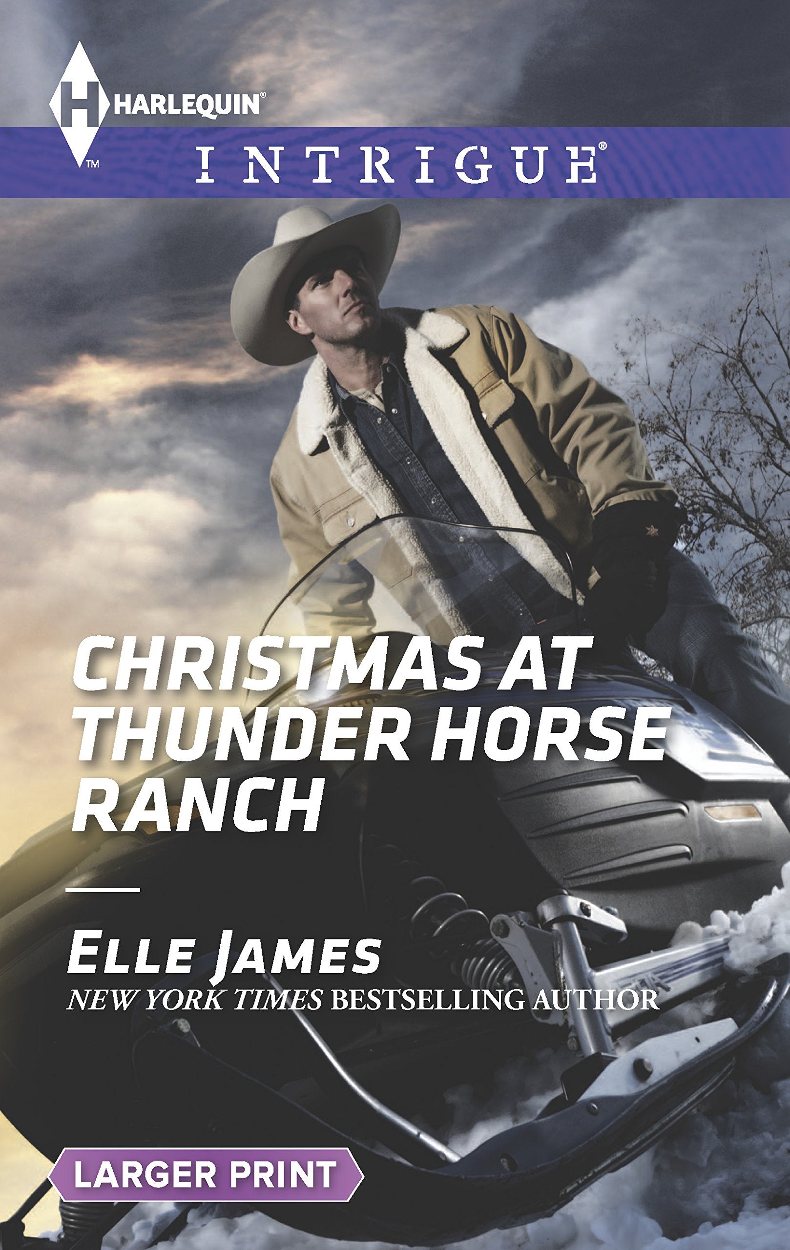 Christmas at Thunder Horse Ranch (Harlequin LP Intrigue),Used