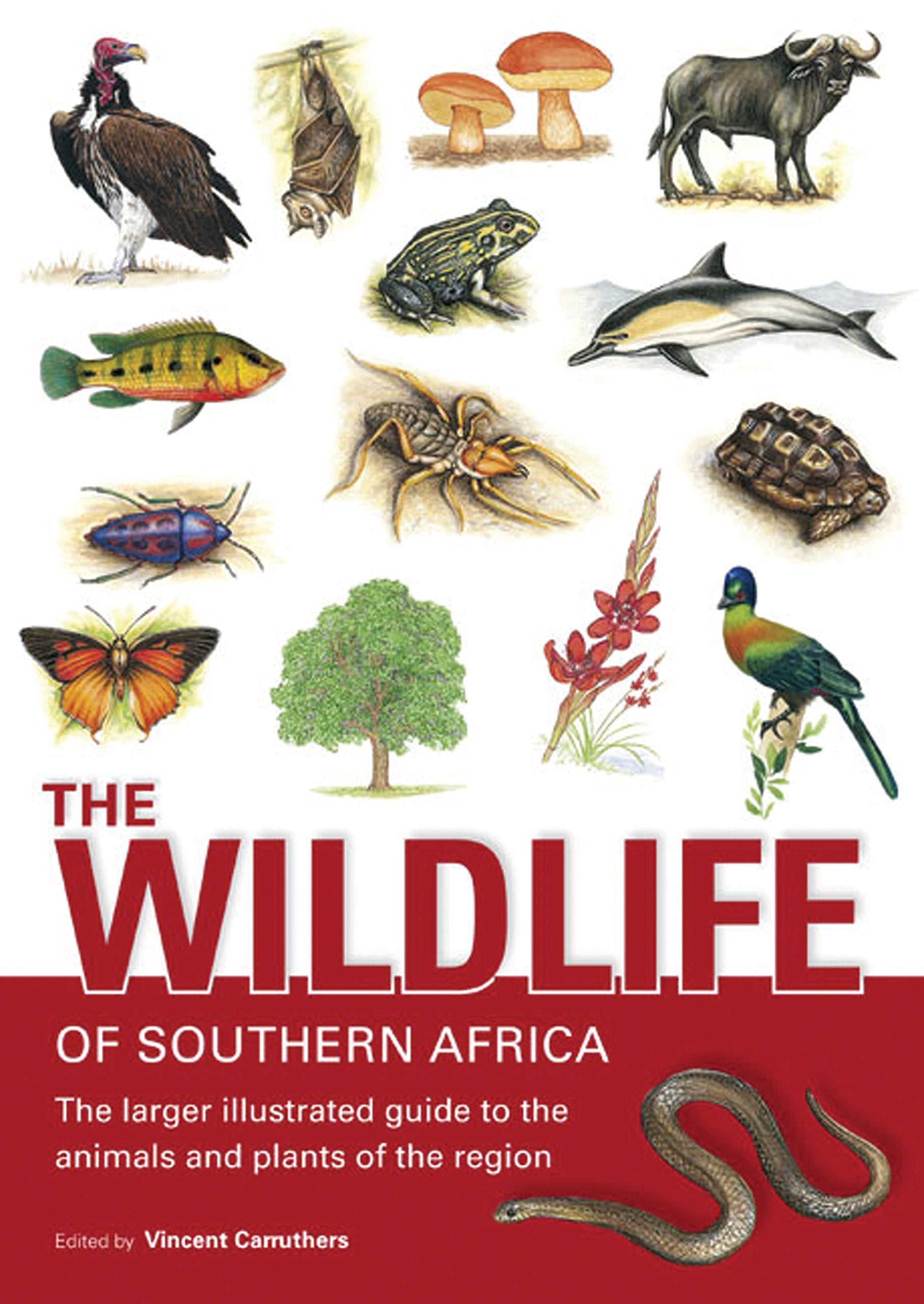 The Wildlife of Southern Africa: The Larger Illustrated Guide to the Animals and Plants of the Region,Used