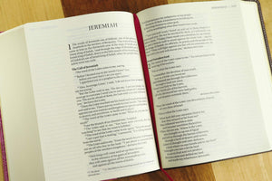 NIV, Journal the Word Bible, Large Print, Leathersoft, Pink/Brown: Reflect, Journal, or Create Art Next to Your Favorite Verses,New