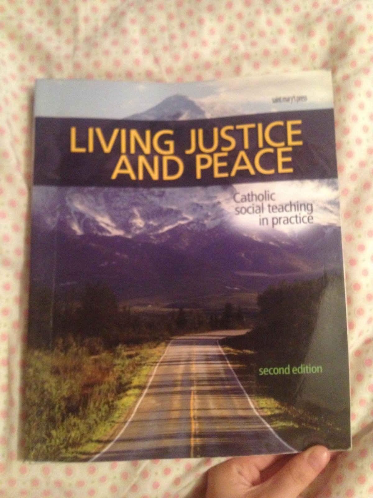 Living Justice and Peace (2008): Catholic Social Teaching in Practice, Second Edition,Used