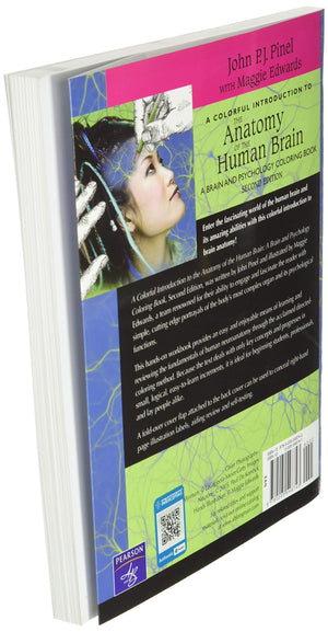 Pearson Colorful Anatomy of the Human Brain Coloring Book - Engaging Educational Resource for Psychology Enthusiasts