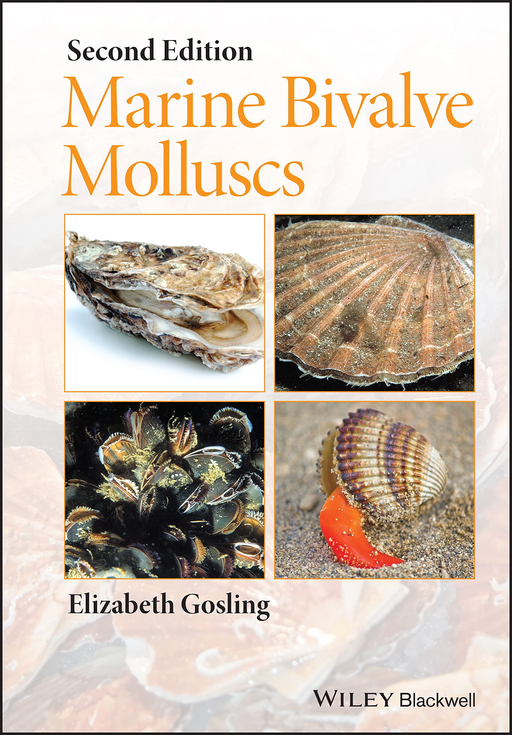 Marine Bivalve Molluscs,Used
