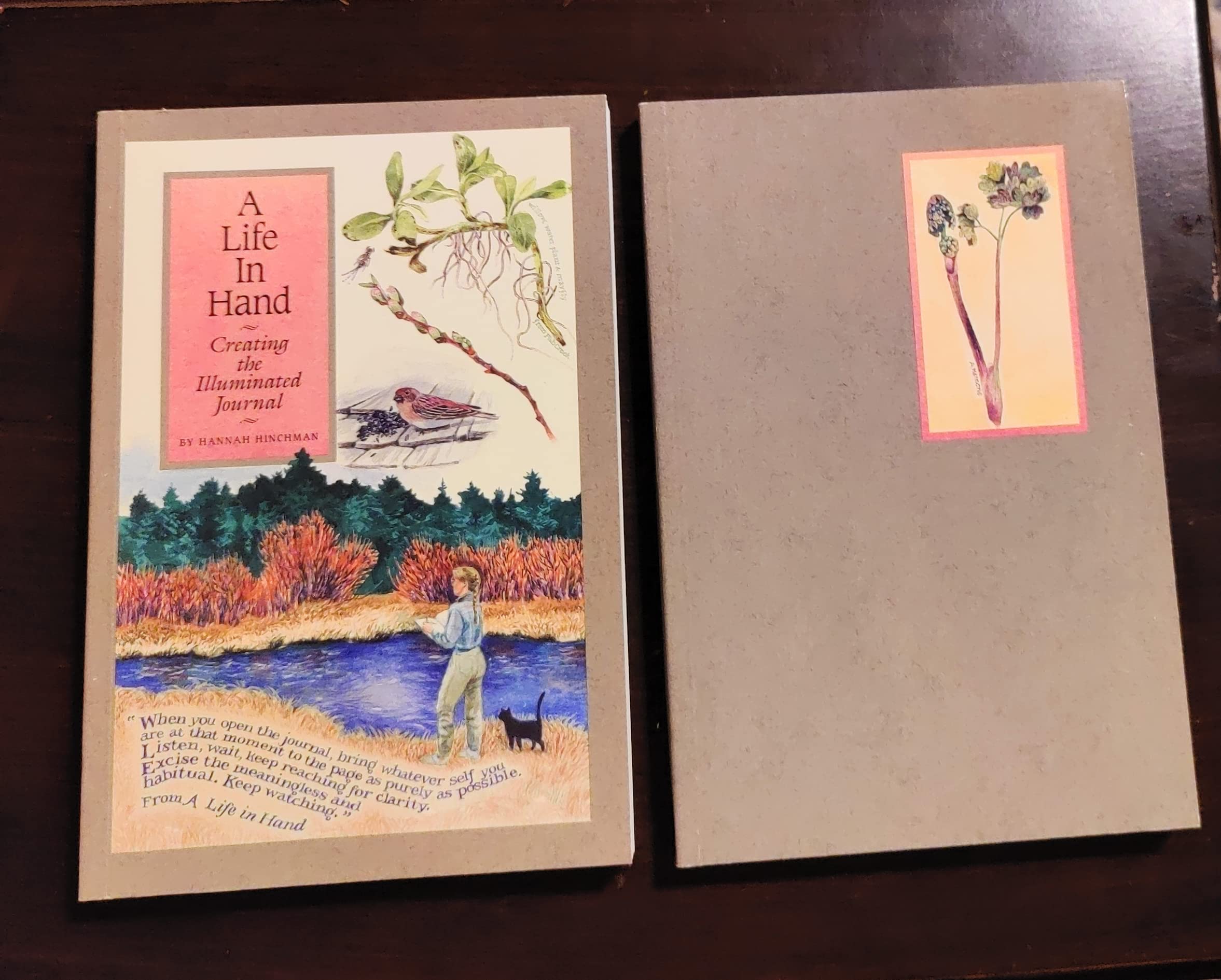 A LIFE IN HAND: Creating the Illuminated Journal,Used