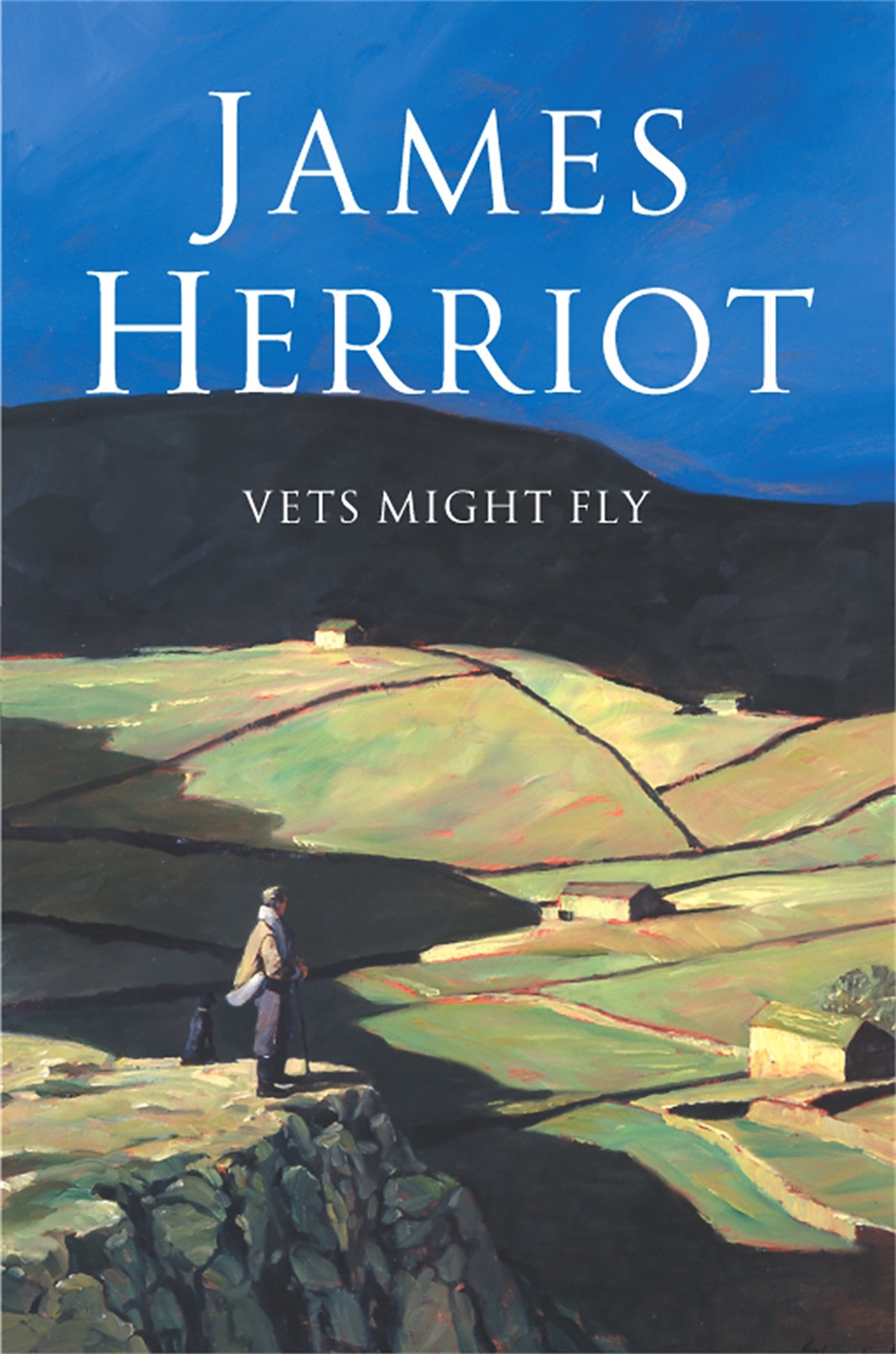 Vets Might Fly,Used