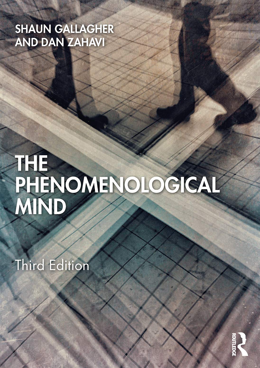 The Phenomenological Mind,Used