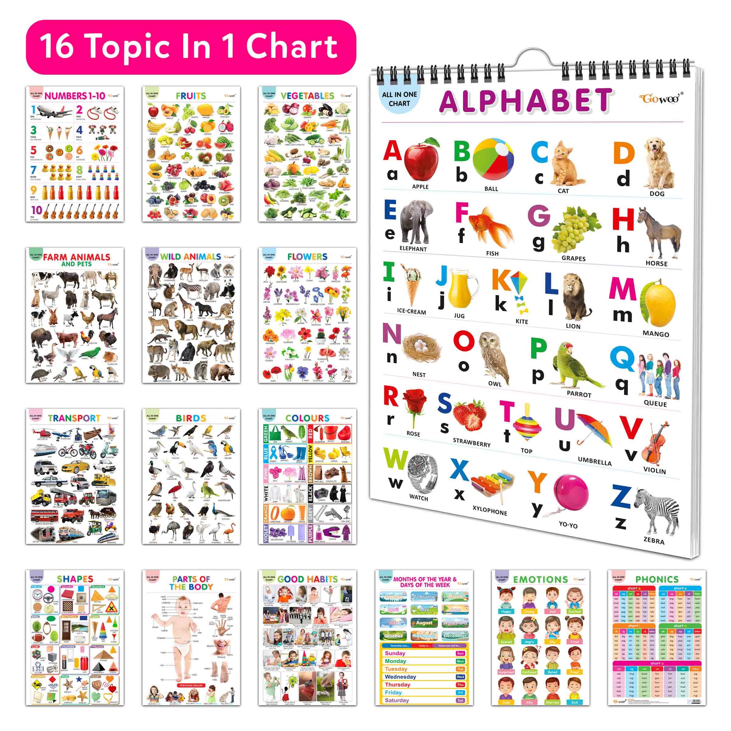 Essential Chart Of All In One : My First All In One Spiral Chart Educational Chart Books For Toddlers Collection With 16 Topics, Return Gifts For Kids