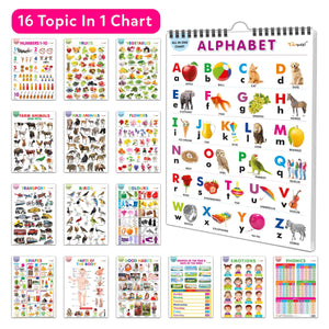 Essential Chart Of All In One : My First All In One Spiral Chart Educational Chart Books For Toddlers Collection With 16 Topics, Return Gifts For Kids