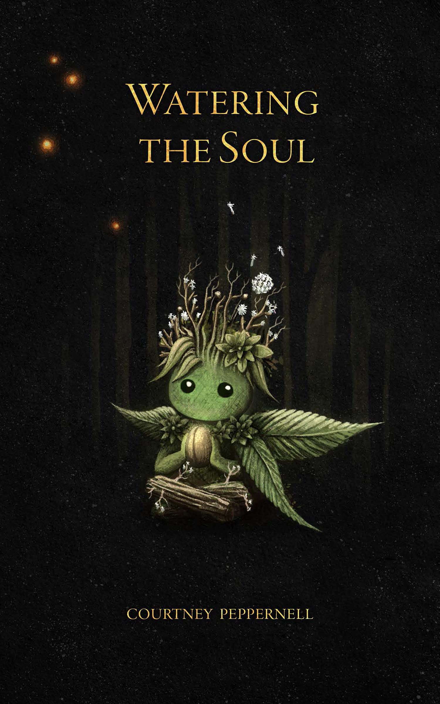 Watering the Soul,Used