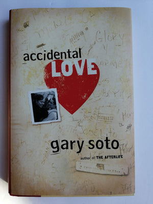 Accidental Love,Used