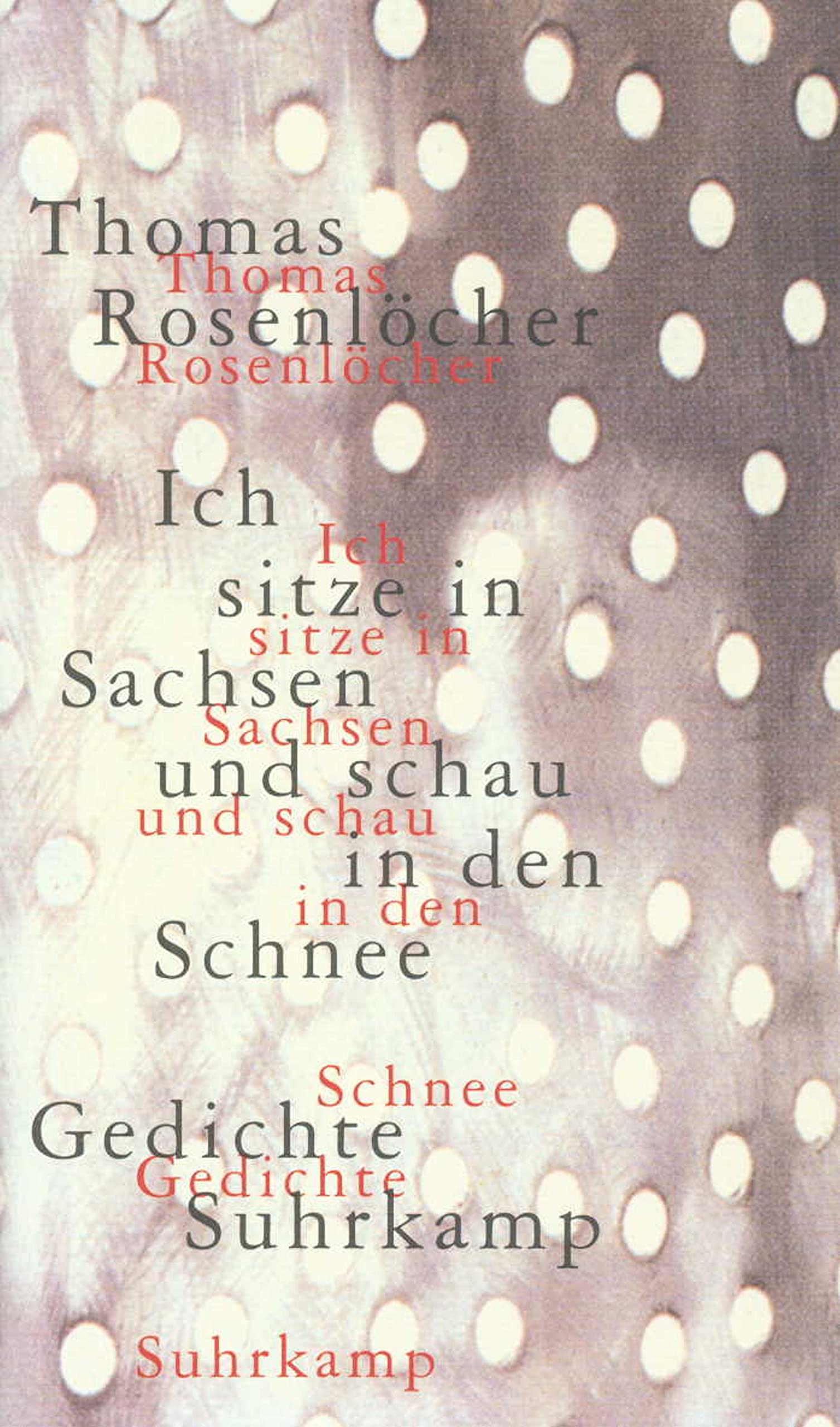 Ich sitze in Sachsen und schau in den Schnee: 77 Gedichte (German Edition),Used