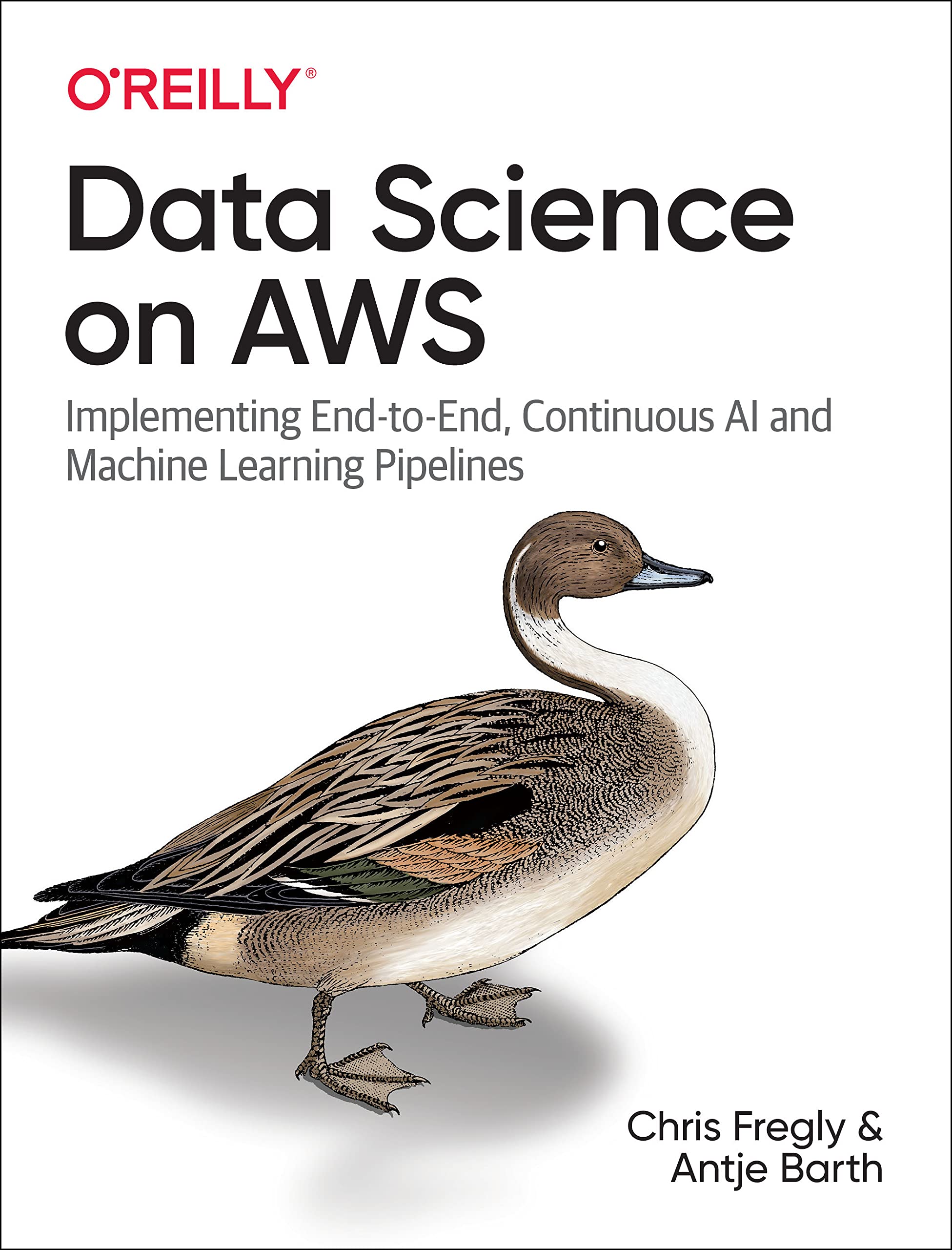 Data Science on AWS: Implementing EndtoEnd, Continuous AI and Machine Learning Pipelines,New