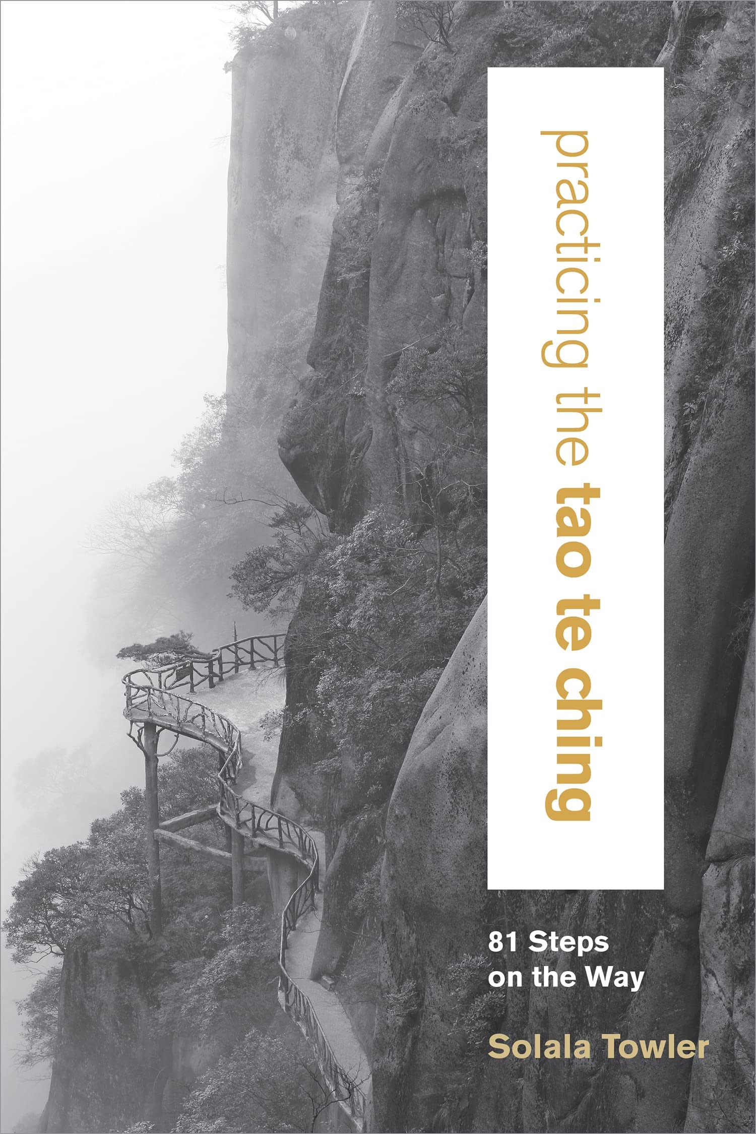 Practicing the Tao Te Ching: 81 Steps on the Way,Used