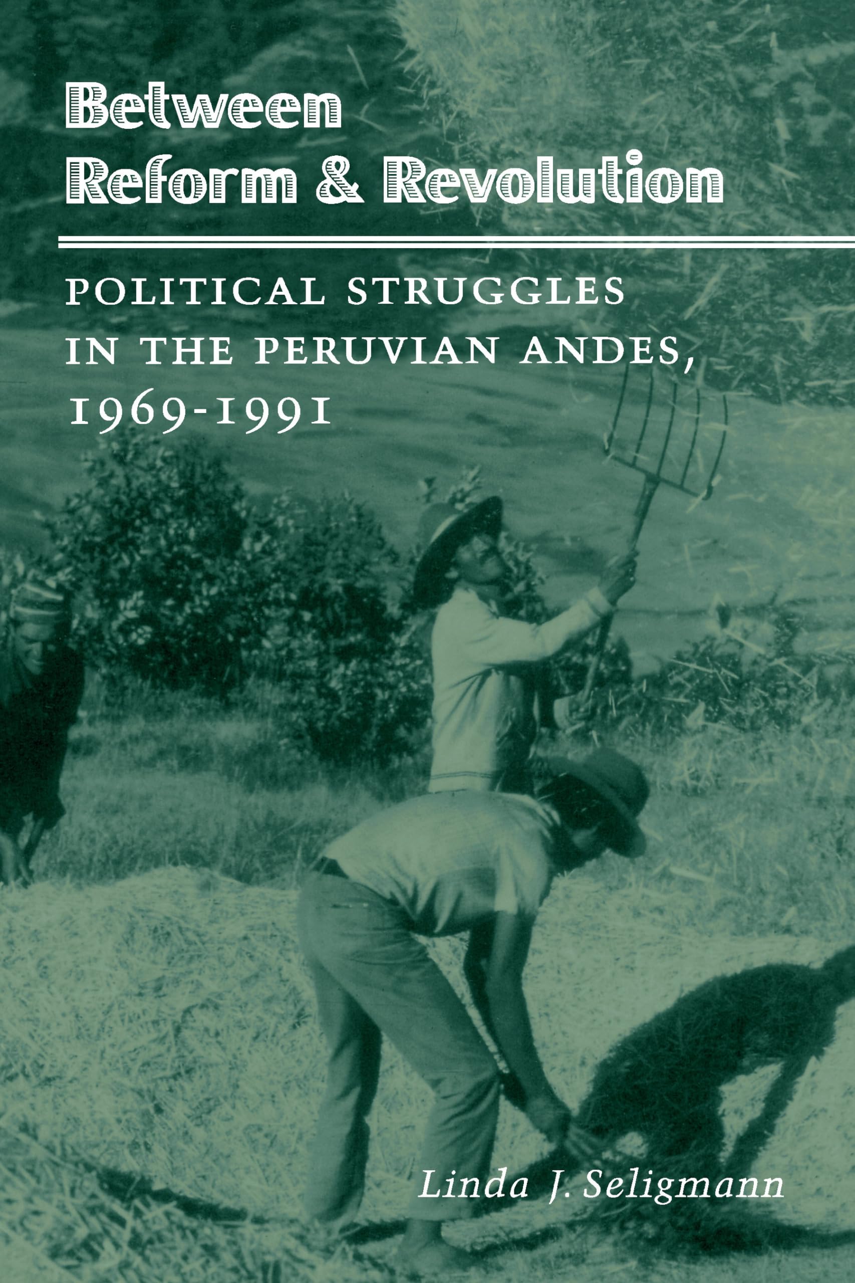 Between Reform And Revolution: Political Struggles In The Peruvian Andes, 19691991 (Program In Agrarian Studies),Used