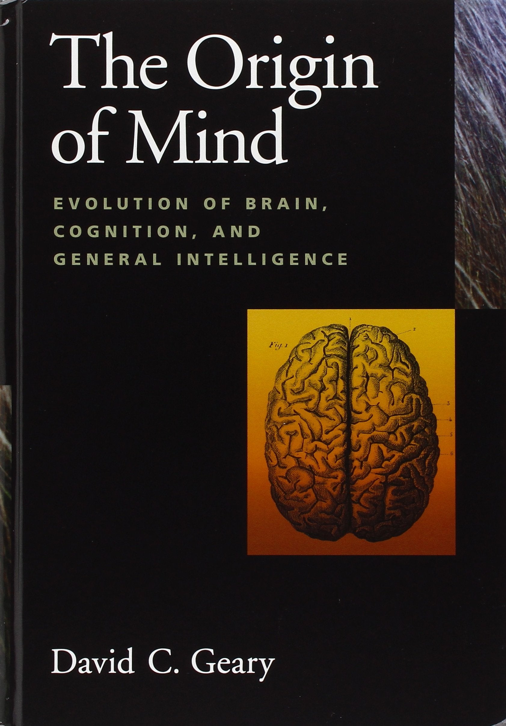 Origin of Mind: Evolution of Brain, Cognition, and General Intelligence,Used