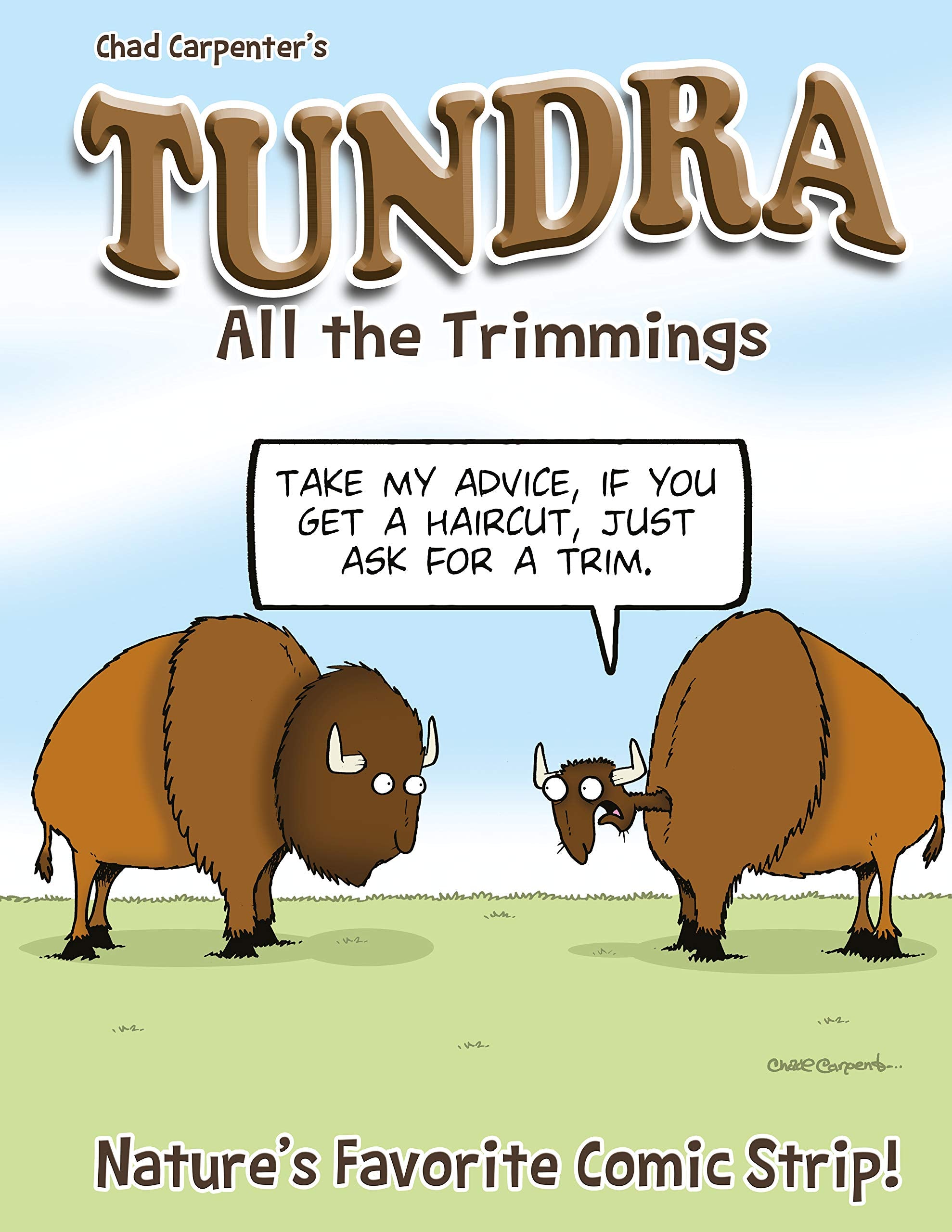 Tundra: All the Trimmings,Used