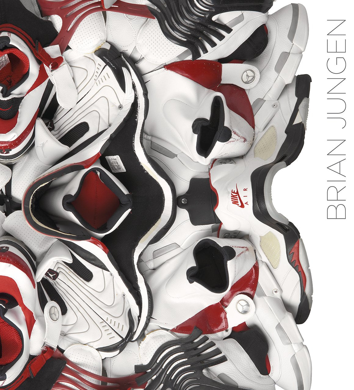 Brian Jungen,Used