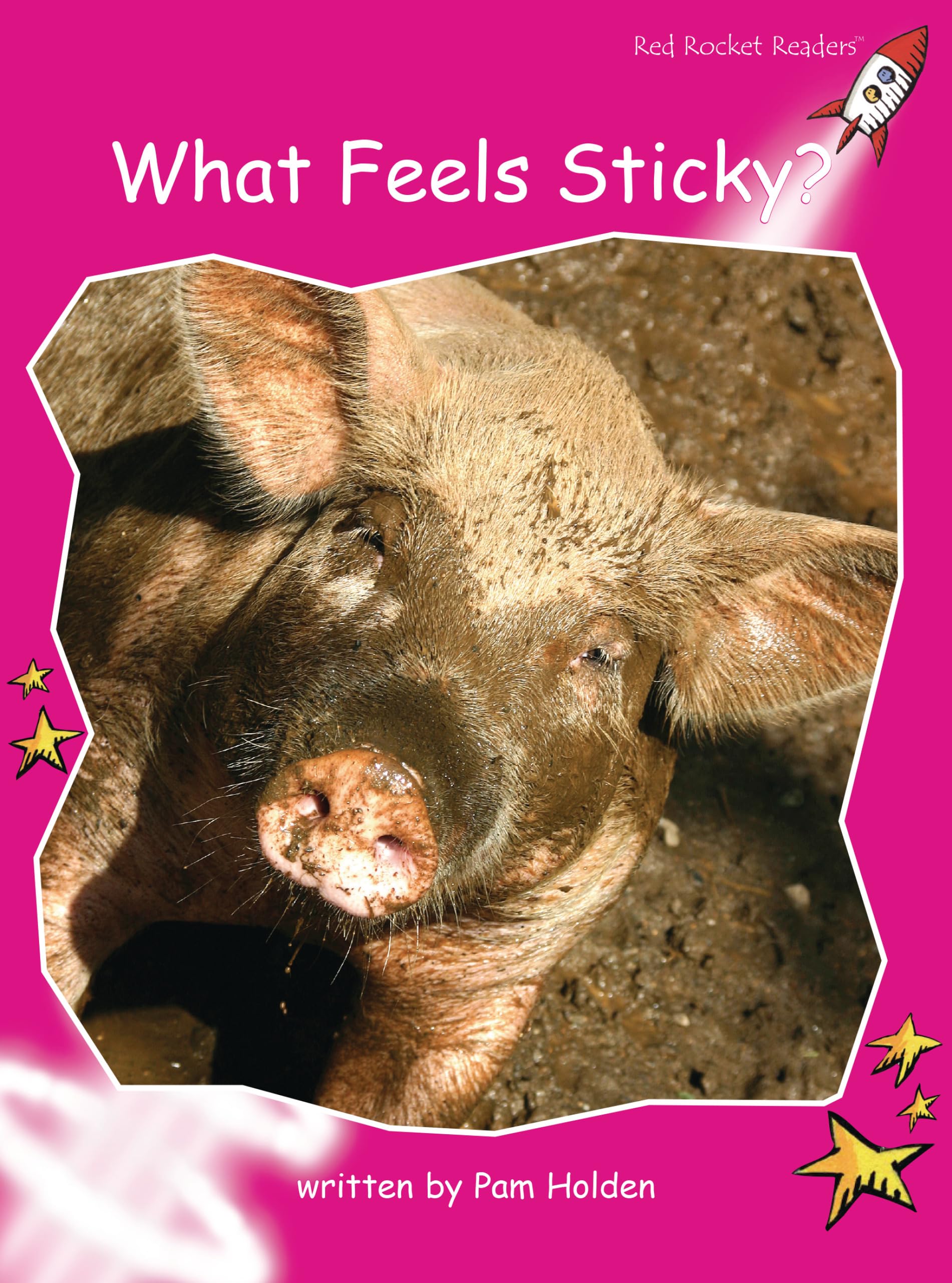What Feels Sticky?: Emergent (Red Rocket Readers: Emergent Level: Magenta),Used