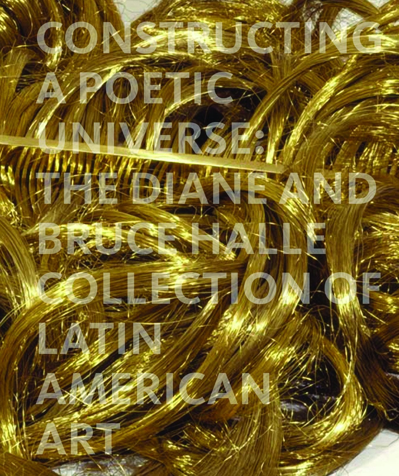 Constructing a Poetic Universe: The Diane and Bruce Halle Collection of Latin American Art,Used