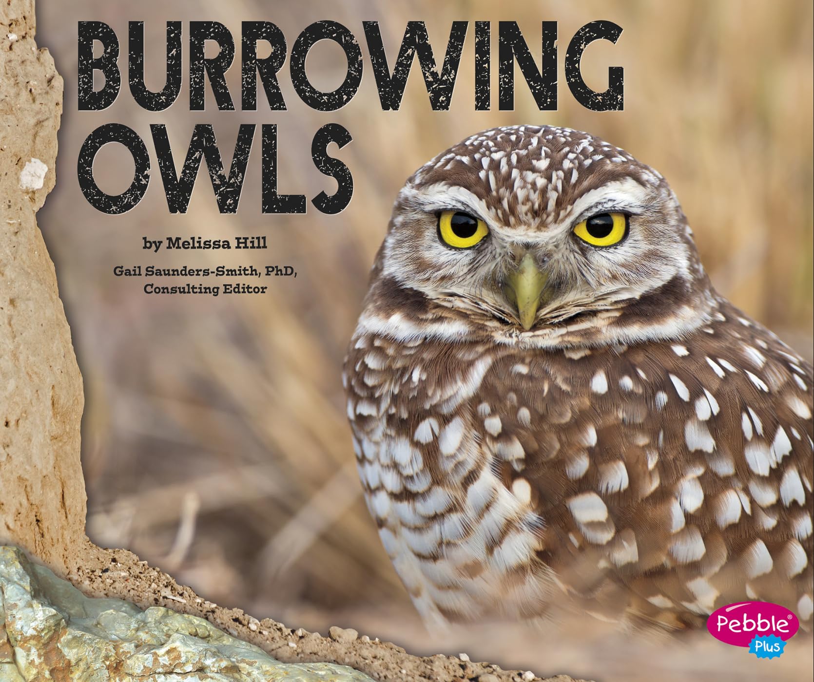 Burrowing Owls,Used